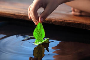 Sống bình yên giữa cuộc đời