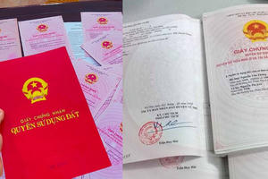 Người dưới 18 tuổi có được đứng tên trên Giấy chứng nhận quyền sử dụng đất không? Người dưới 18 tuổi có được đứng tên trên Giấy chứng nhận quyền sử dụng đất không?