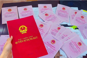 90 ngày làm sạch dữ liệu, thông tin đất đai toàn quốc