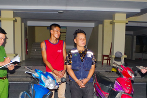 Tạm giữ 2 đối tượng nhiều tiền án gây ra loạt vụ trộm cắp ở Ninh Bình
