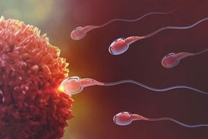 Mối liên quan giữa COVID-19 và khả năng sinh sản của nam giới