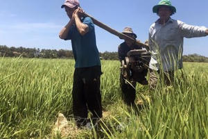 Điểm báo ngày 23/7/2019: "Vét" từng giọt nước chống hạn hán