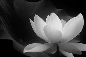 Nghệ nhân Đào Trọng Cường qua đời