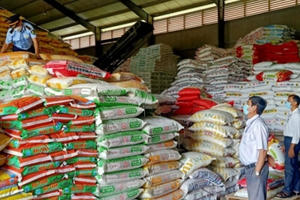 Tạm giữ 4.347 sản phẩm phân bón và thuốc bảo vệ thực vật vi phạm tại An Giang, Đồng Tháp