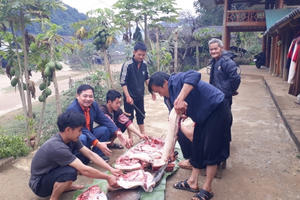 Mùa xuân vui về bản vùng cao Ôn Ốc