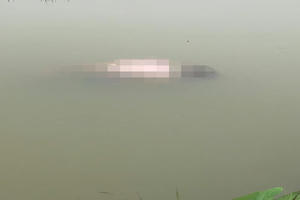 Thi thể người đàn ông nổi lập lờ dưới kênh nước