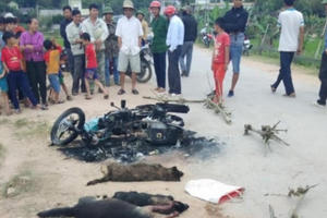 Nghi câu trộm chó, 2 người bị đánh thương vong: Công an khởi tố vụ án Giết người