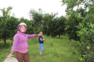 Từ 1/3 tiền sử dụng đất sẽ phải thực hiện theo giá mới