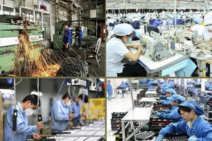 Thủ tướng phân công từng Thành viên Chính phủ làm việc với địa phương để đôn đốc, gỡ khó, thúc đẩy sản xuất kinh doanh