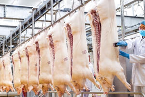 Không lo thiếu thịt lợn, "đội" giá dịp Tết Nguyên đán