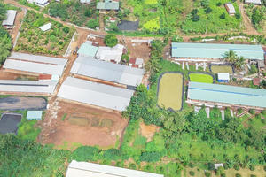 Đồng Nai: Trại heo vẫn “bốc mùi” sau khi được chính quyền kiểm tra