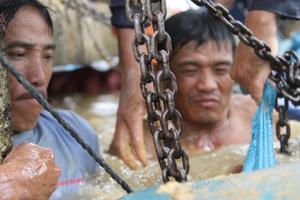 Hình ảnh xúc động: Hàng trăm người dân trằm mình cứu lúa