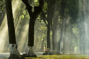 Khoảng khắc mùa thu Hà Nội níu chân du khách