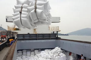 Xuất cấp hơn 4 nghìn tấn gạo cho 3 tỉnh phía nam gặp khó khăn do dịch COVID-19