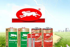 Pin Con Thỏ chuẩn bị lên sàn chứng khoán với “hành trang” doanh thu hàng trăm tỷ mỗi năm