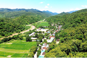 Nghệ An: Cấp mới và cấp đổi 18.694 Giấy chứng nhận quyền sử dụng đất lâm nghiệp