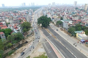 Hà Nội: Cận cảnh cây cổ thụ nằm giữa con đường 6 nghìn tỷ