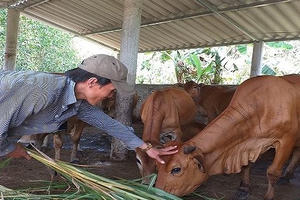 Sớm trình Thủ tướng Chính phủ ban hành chuẩn nghèo đa chiều