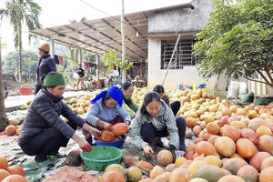 Tuyên Quang: Huyện Chiêm Hóa nâng cao chất lượng hàng hóa nông sản