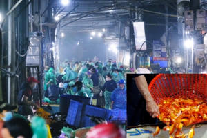 Video: Chợ cá lớn nhất Hà Nội tấp nập từ sáng tinh mơ trước ngày cúng ông Công, ông Táo