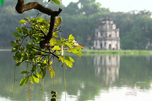 Thời tiết nắng mưa đan xen ở miền Bắc tiếp tục trong những ngày tới Thời tiết nắng mưa đan xen ở miền Bắc tiếp tục trong những ngày tới