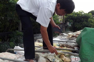 Nghệ An: Tạm giữ xe tải chở 10 tấn xương động vật thối