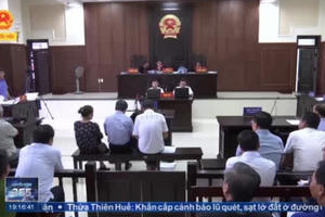 Đại biểu Quốc hội chỉ ra những sai sót trong "Vụ án buôn lậu gỗ trắc"