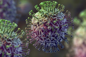 Việt Nam xuất hiện ca cúm A(H5N1) trên người