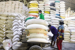 Hơn 1.750 tấn gạo cứu đói khẩn cấp cho người dân Đắk Lắk sau bão số 13