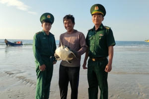 Thả cá thể đồi mồi quý hiếm về biển