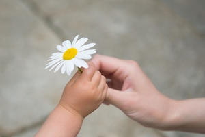 Sự thật và lòng biết ơn