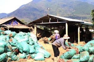 Tam Đường (Lai Châu): Ô nhiễm môi trường nghiêm trọng từ hoạt động chế biến dong riềng