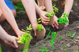 Giờ Trái đất 2021: Cần nhiều hơn thế!