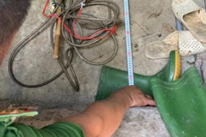 Chồng chích điện sát hại vì vợ không đưa tiền trả nợ