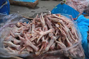 Cần Thơ: Bắt trên 3 tấn thực phẩm bẩn trong kho đông lạnh