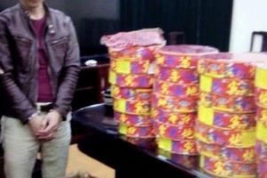 Thuê xe taxi chở pháo về Hà Nội tiêu thụ thì bị sa lưới