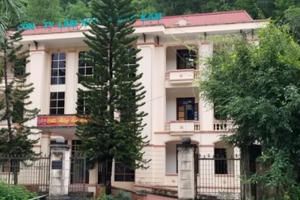 Lỗ 2 năm liên tiếp, Công ty Lâm nghiệp Bắc Kạn bị giám sát tài chính đặc biệt