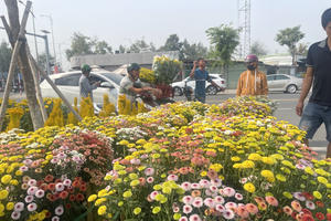 Sắc Xuân Đông Nam Bộ - Đón Tết Ất Tỵ rộn ràng