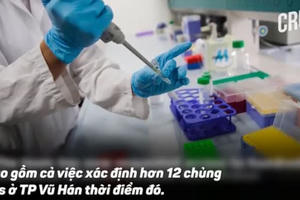 NÓNG nhất tuần: Nhóm điều tra WHO phát hiện điều bất ngờ tại Vũ Hán