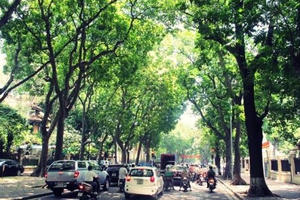 Dự báo thời tiết ngày 11/3: Bắc Bộ nắng ấm trở lại