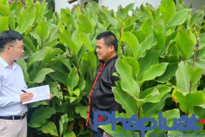 Bài 1 - BỒI DƯỠNG, PHÁT TRIỂN ĐẢNG VIÊN TẠI QUẢNG NINH Bài 1 - BỒI DƯỠNG, PHÁT TRIỂN ĐẢNG VIÊN TẠI QUẢNG NINH