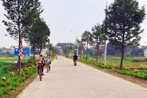 Nhân rộng điểm sáng trong xây dựng nông thôn mới