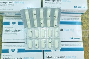 Bộ Y tế cấp phép 3 loại thuốc chứa Molnupiravir sản xuất trong nước