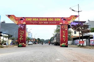 Huyện Sóc Sơn tổ chức 5 điểm chợ hoa phục vụ Xuân Quý Mão 2023 Huyện Sóc Sơn tổ chức 5 điểm chợ hoa phục vụ Xuân Quý Mão 2023