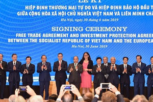 Chỉ định các cơ quan đầu mối để triển khai Hiệp định EVFTA