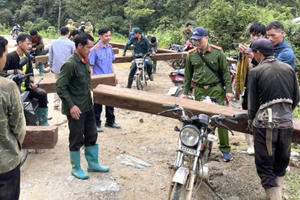 Công an huyện Tân Uyên ngăn chặn nhóm người khai thác gỗ trái phép trên rừng phòng hộ
