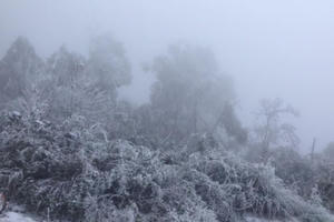 Tuyết phủ trắng ở chân núi Phu Xai Lai Leng