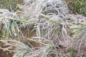 Quảng Ninh: Nhiều nơi xuất hiện băng, đá do ảnh hưởng của rét đậm, rét hại