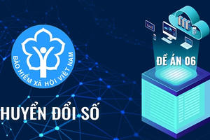 Sơ kết công tác chuyển đổi số, triển khai Đề án 06 ngành BHXH Việt Nam