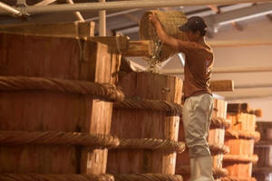 Nguy cơ nước mắm truyền thống 'chết' vì dự thảo tiêu chuẩn chất lượng